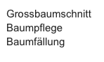 Grossbaumschnitt
Baumpflege
Baumfällung