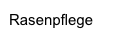 Rasenpflege