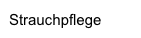 Strauchpflege